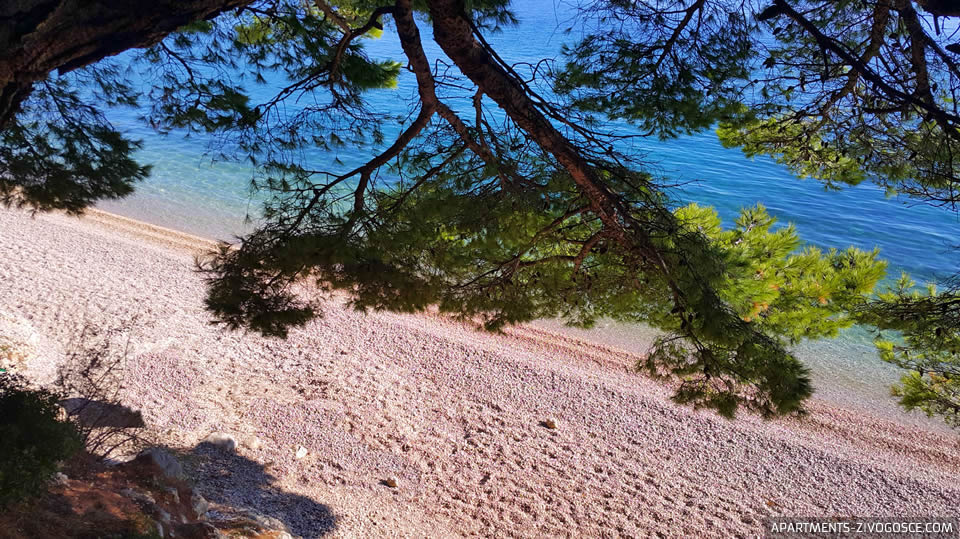 Živogošće Blato plaža Dole